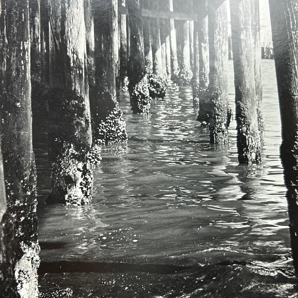 United States - Santa Monica Pier Los Angeles - Photo series by Theo van der Vaart