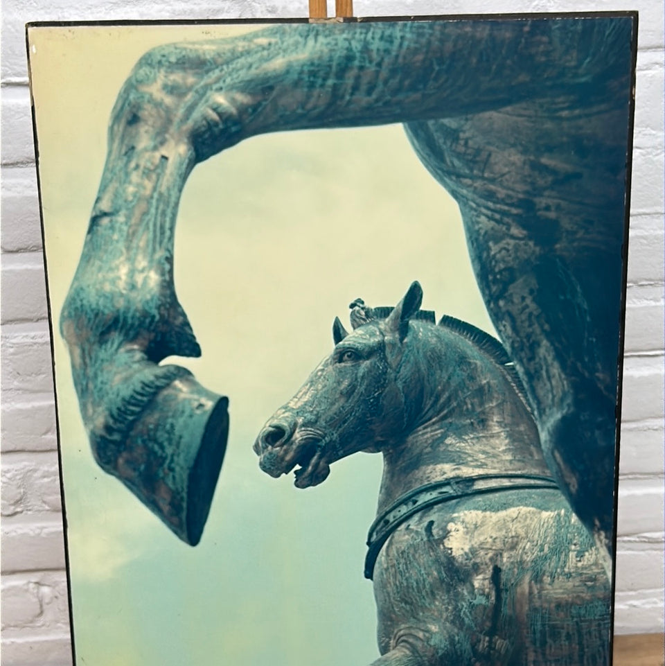 Europe - Horses Venice Italy - Photo series by Theo van der Vaart