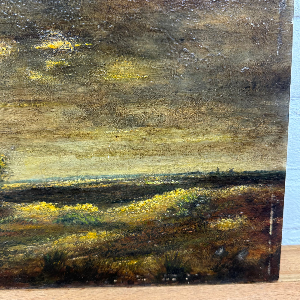 Dutch landscape with dark sunset  - Oil painting by Jan Bakker