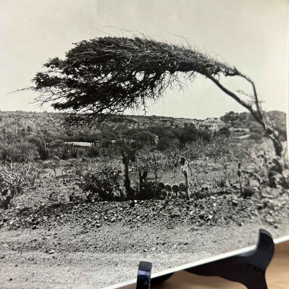 Vintage Curacao Photo serie - Black White – Curaçao (1960s–1970s)