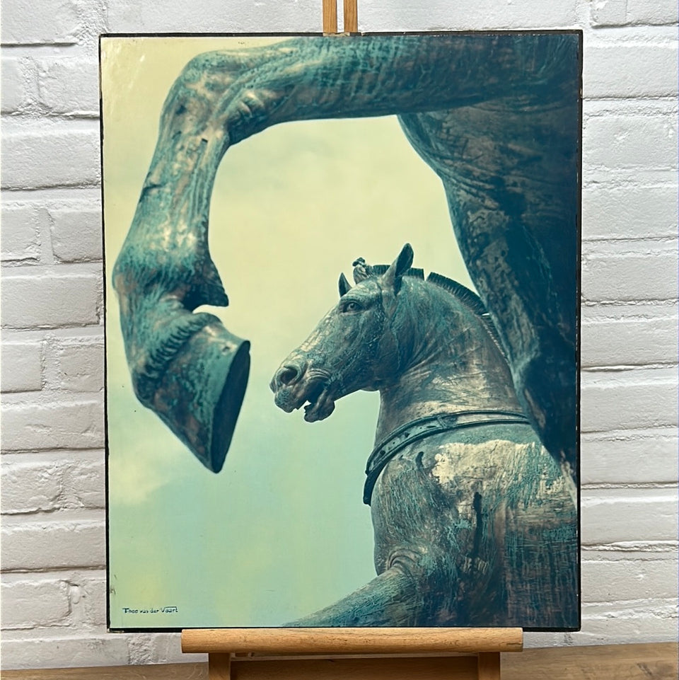 Europe - Horses Venice Italy - Photo series by Theo van der Vaart