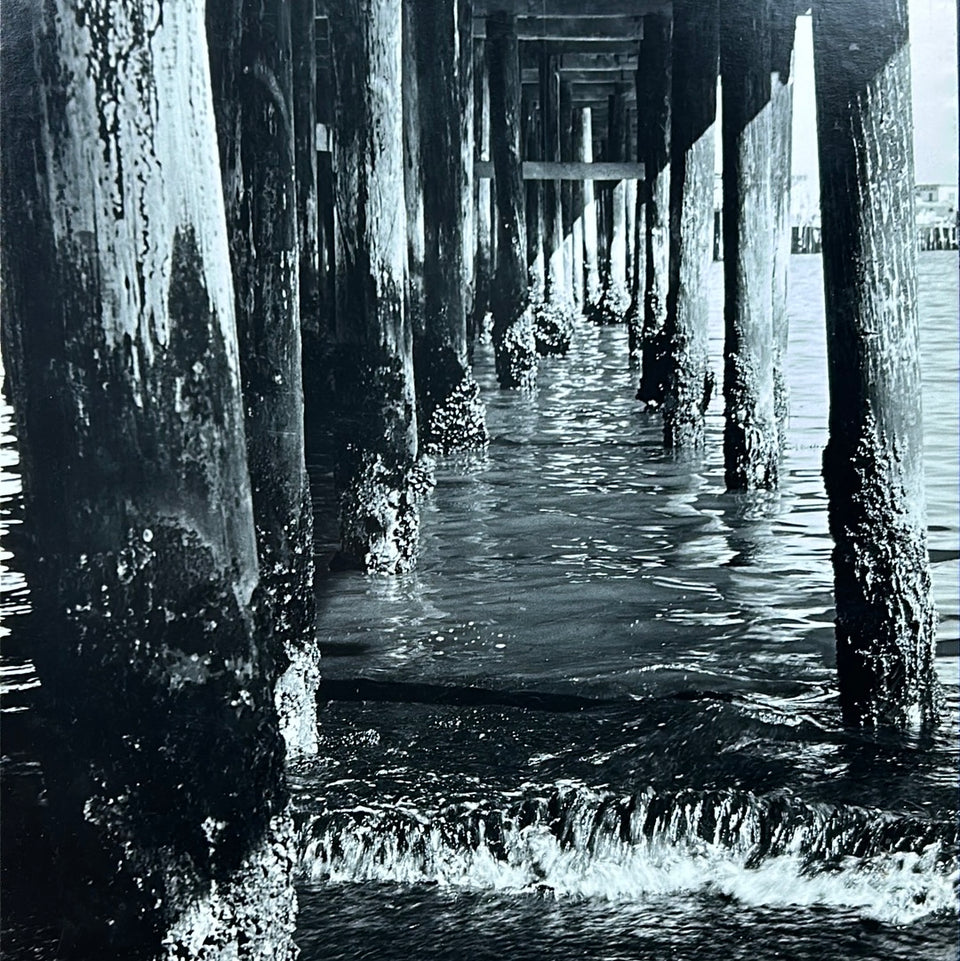 United States - Santa Monica Pier Los Angeles - Photo series by Theo van der Vaart