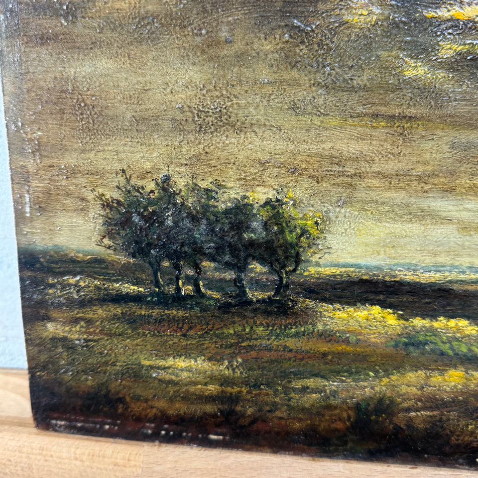 Dutch landscape with dark sunset  - Oil painting by Jan Bakker