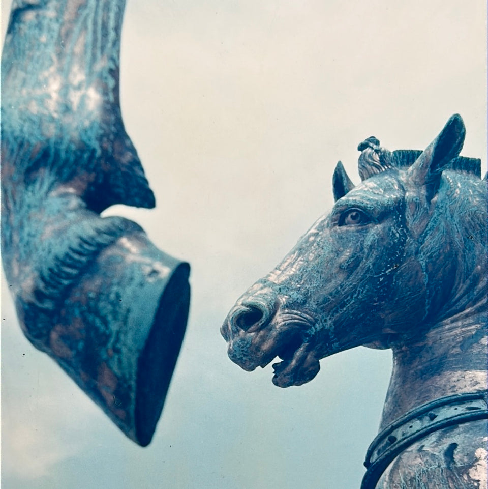 Europe -  Horses Venice Italy - Photo series by Theo van der Vaart