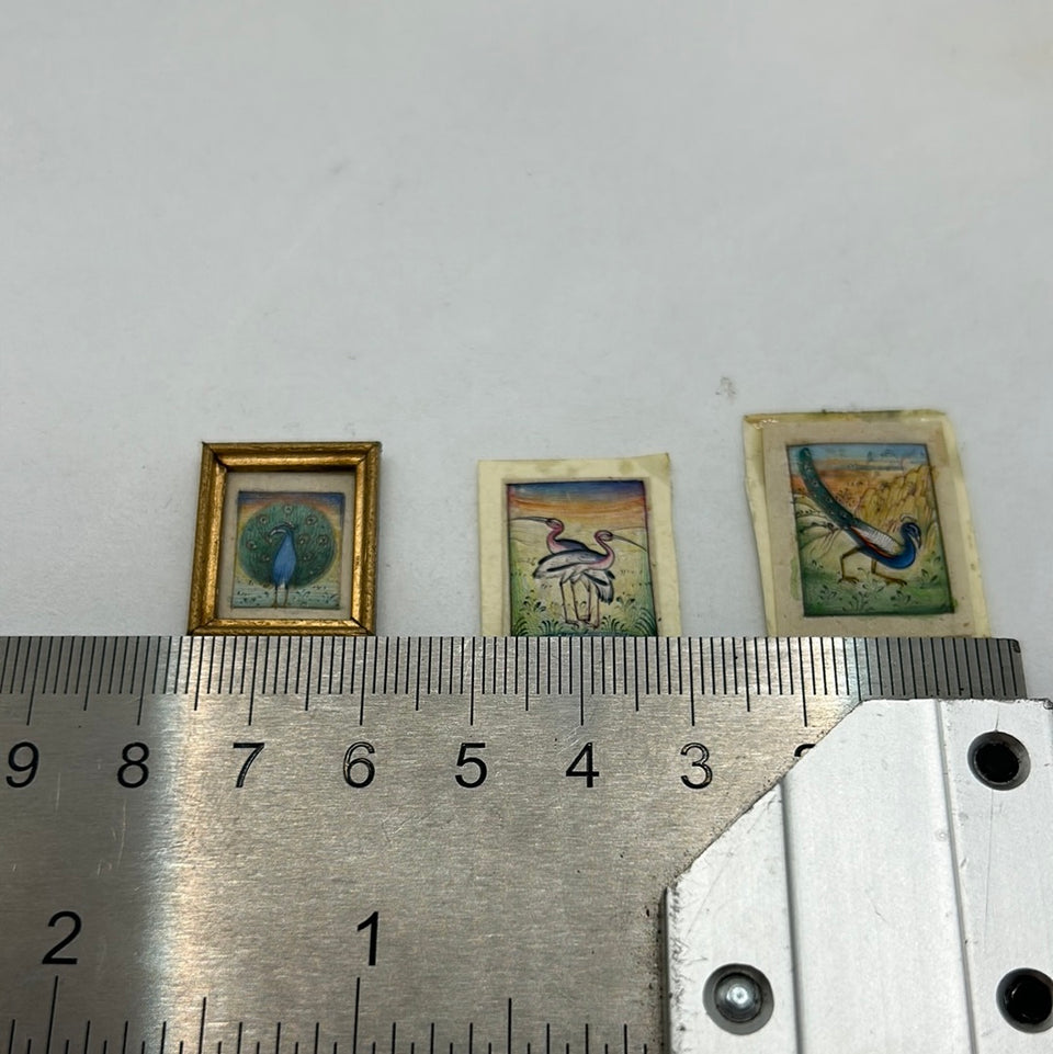 Miniature handmade birds and peacock colored drawings