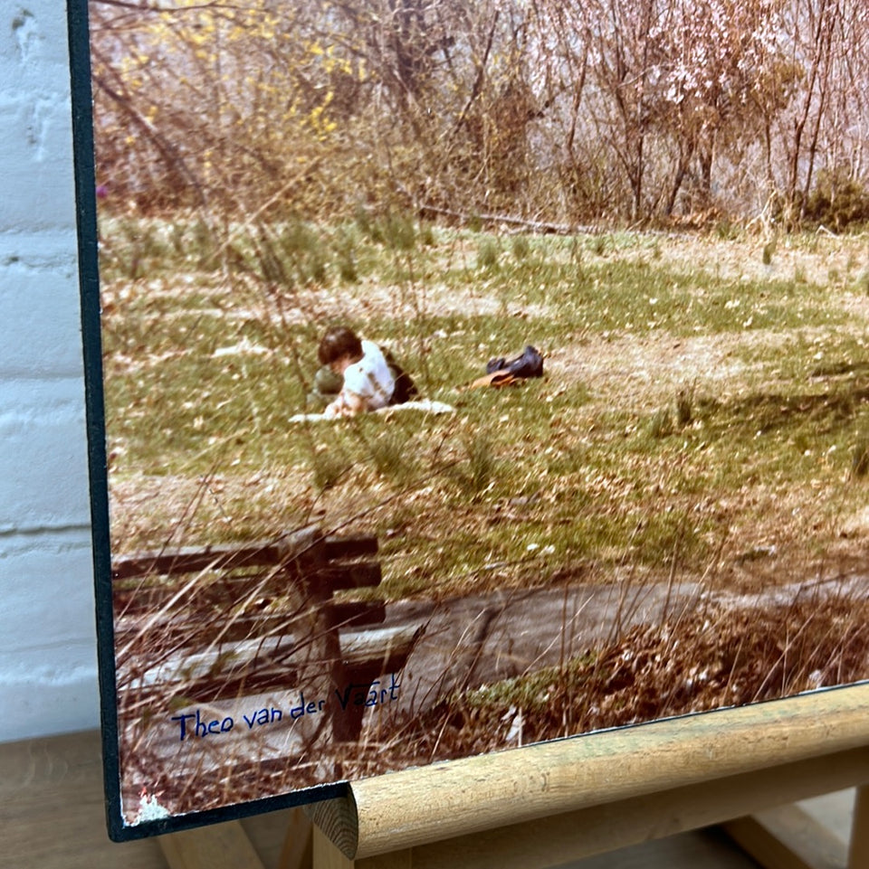 United States - Park at the Cloisters - New York - Photo series by Theo van der Vaart