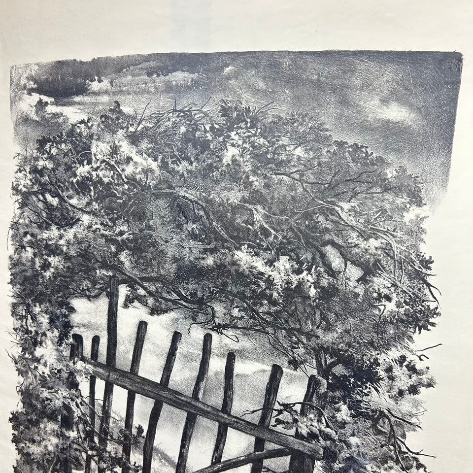 Country Fence in Limburg, litho by Aart van Dobbenburgh