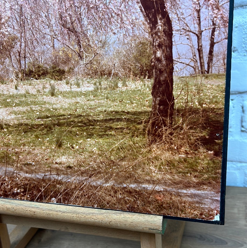 United States - Park at the Cloisters - New York - Photo series by Theo van der Vaart