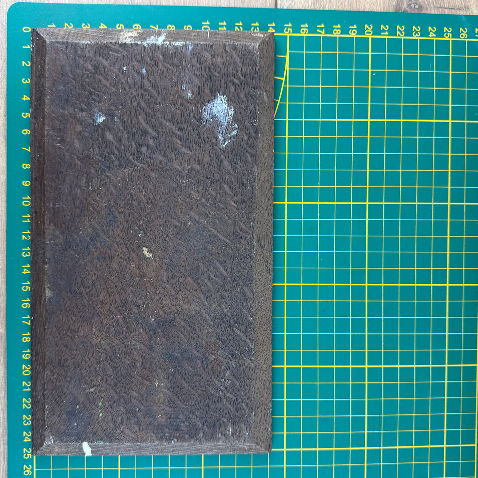 Sunset in Holland - Oil painting on wooden panel by Dutch painter Jan Bakker