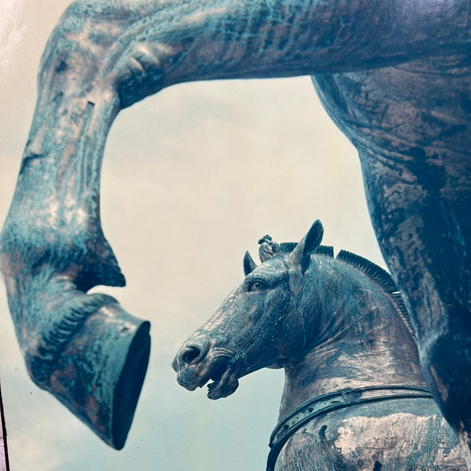 Europe - Horses Venice Italy - Photo series by Theo van der Vaart