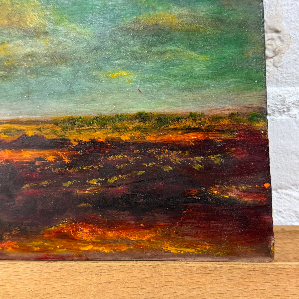 Sunrise in the Netherlands by Dutch painter Jan Bakker