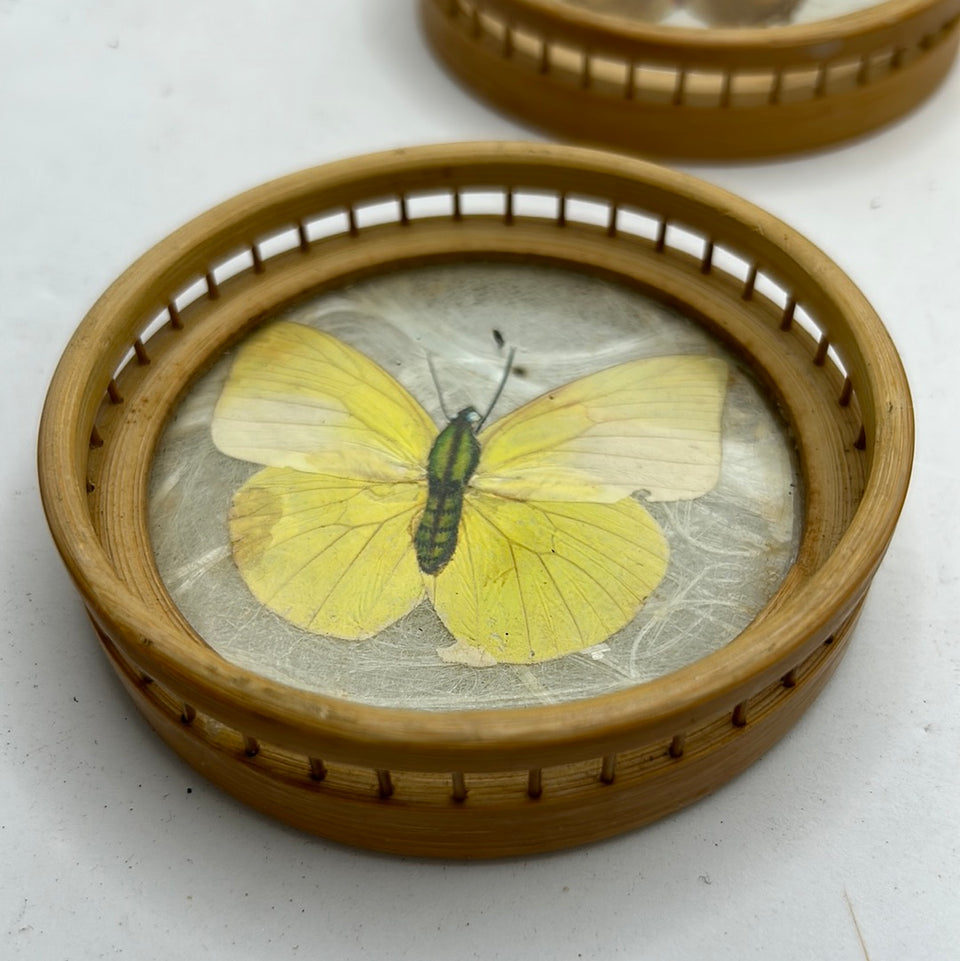3 x Vintage Butterfly coasters handmade