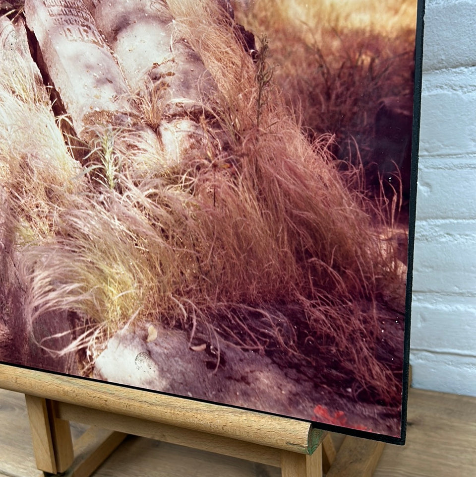 Graveyard Photo serie “Cemetery” by Theo van der Vaart