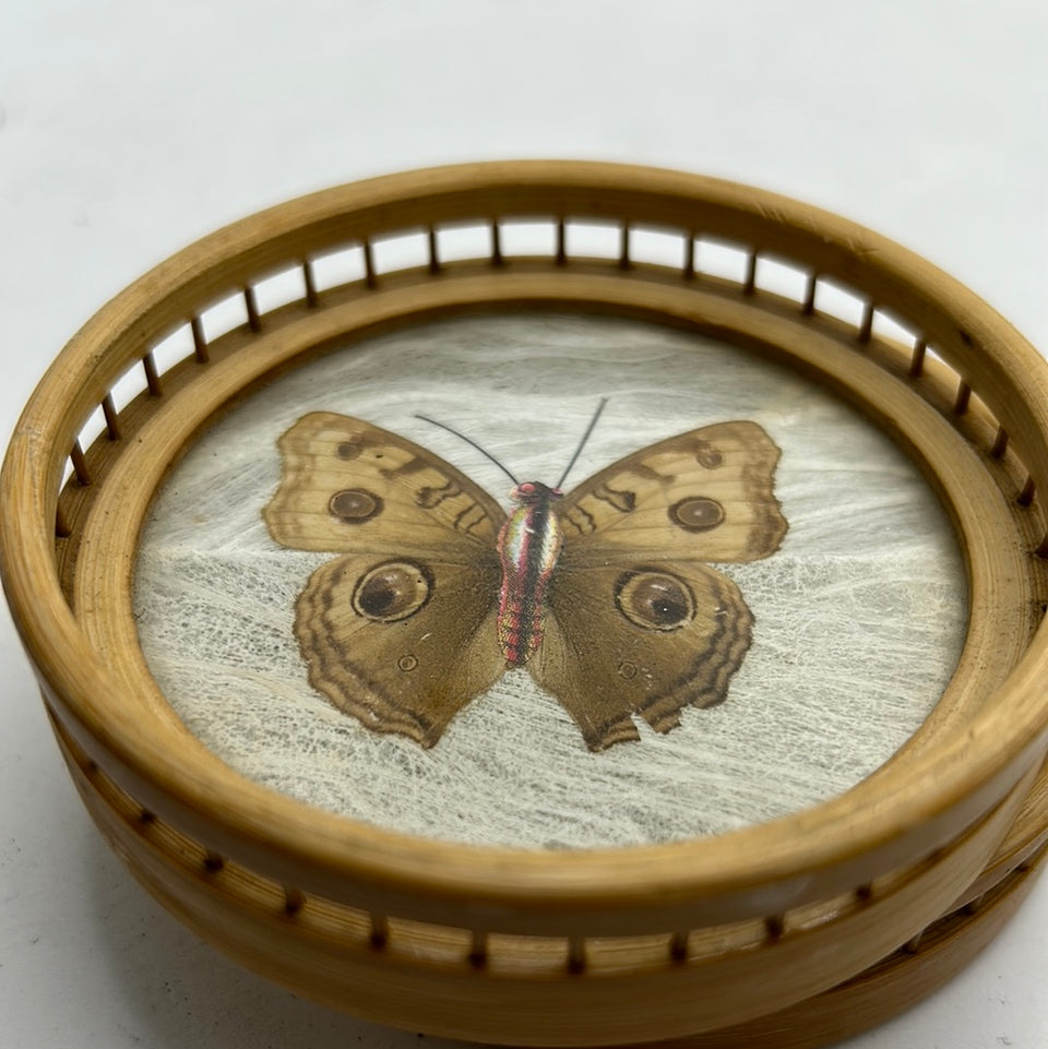 3 x Vintage Butterfly coasters handmade