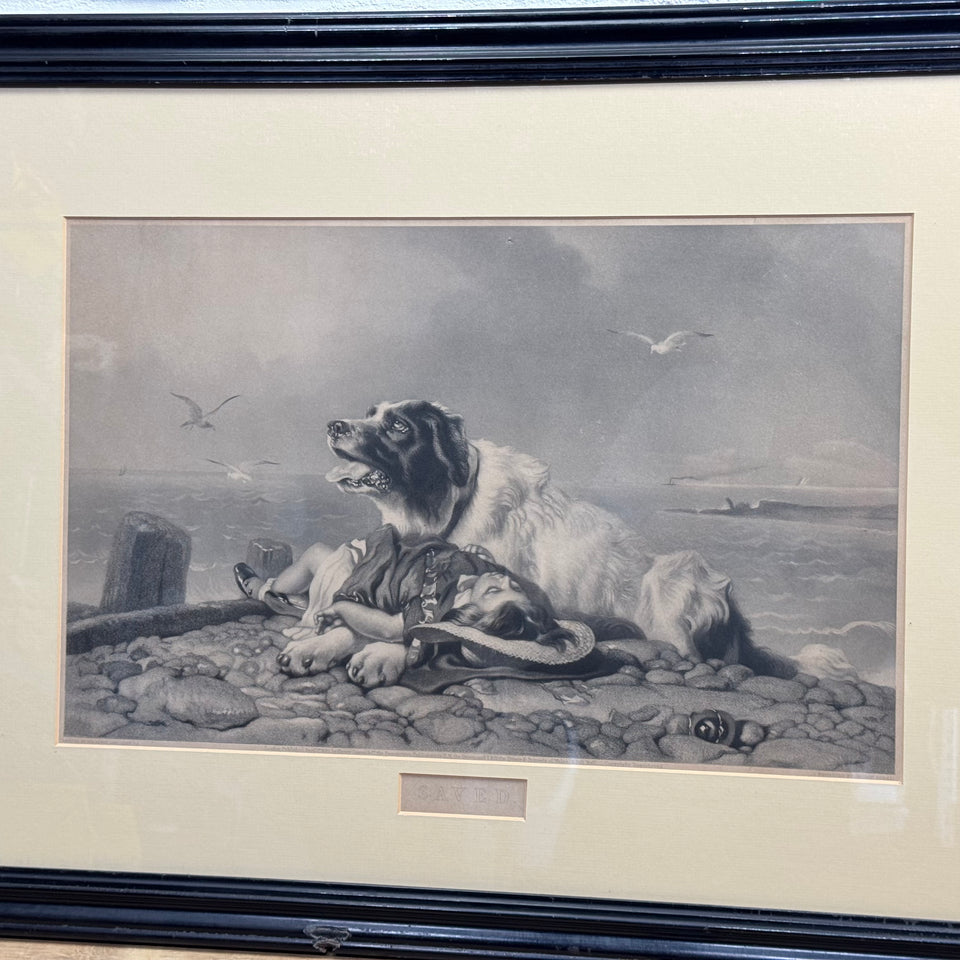 Antique Edwin Henry Landseer "He is Saved" Framed Currier and Ives Dog Lithograph print