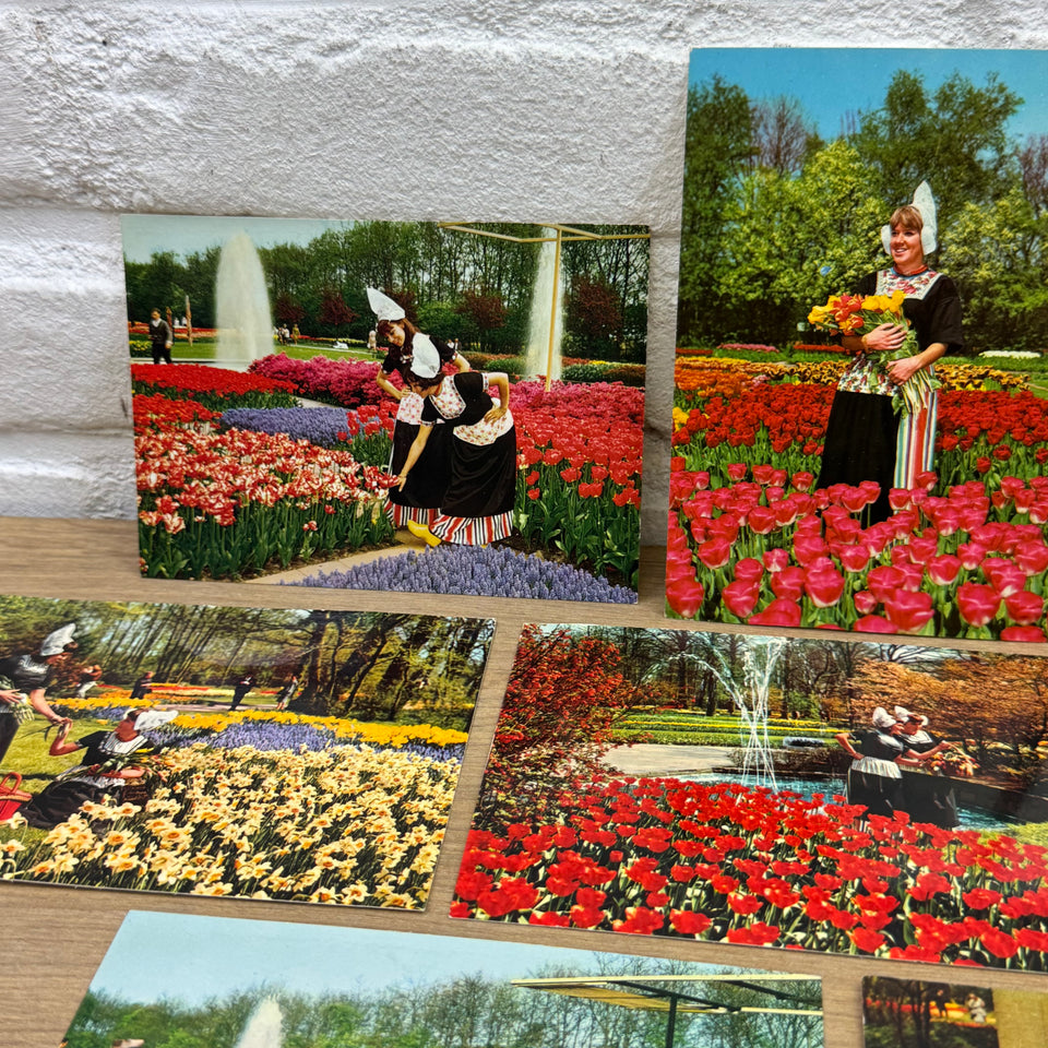 Vintage Keukenhof Flowers Holland postcards - Collection of Dutch Folklore Costume photo cards – Holland’s Traditional Culture Costumes