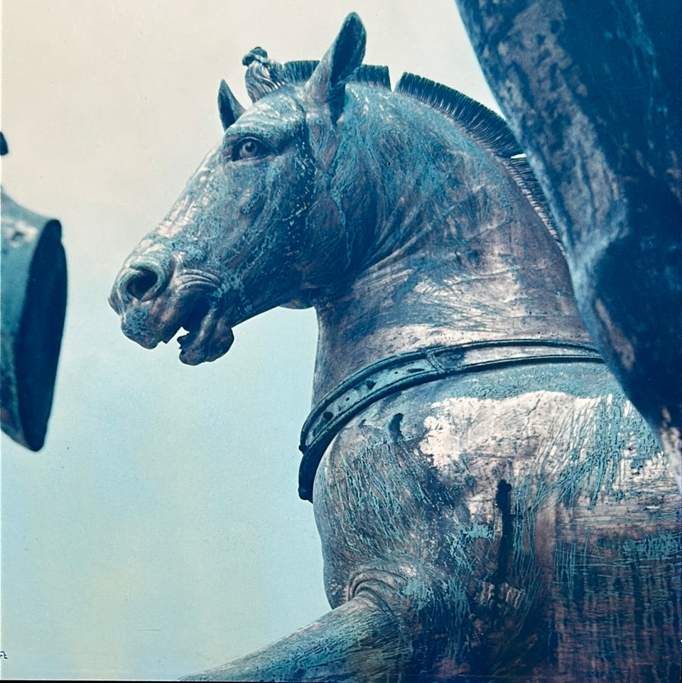 Europe - Horses Venice Italy - Photo series by Theo van der Vaart