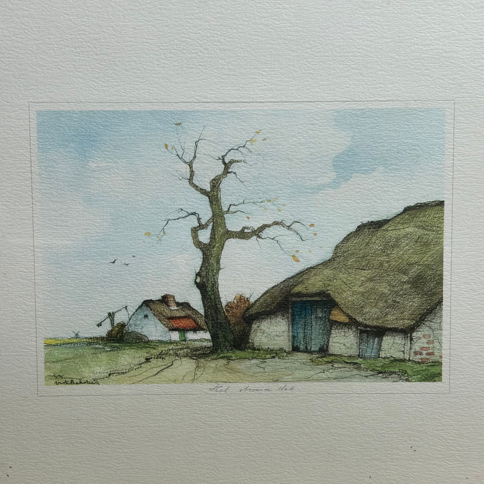 The scattering Roof - Dirk Baksteen