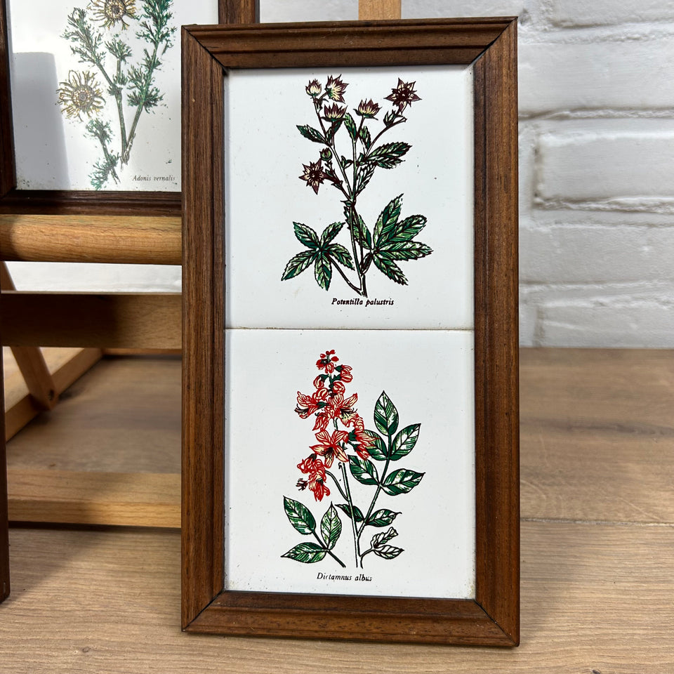 3 framed ceramic tiles with herbs