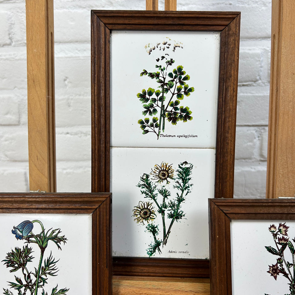 3 framed ceramic tiles with herbs