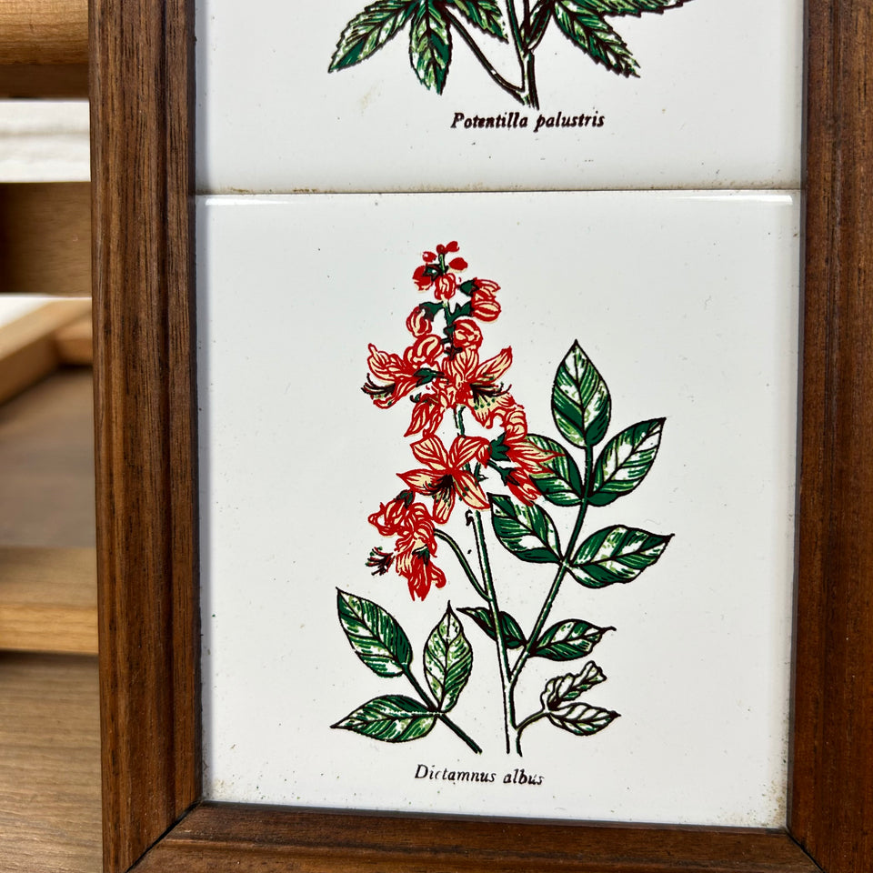 3 framed ceramic tiles with herbs