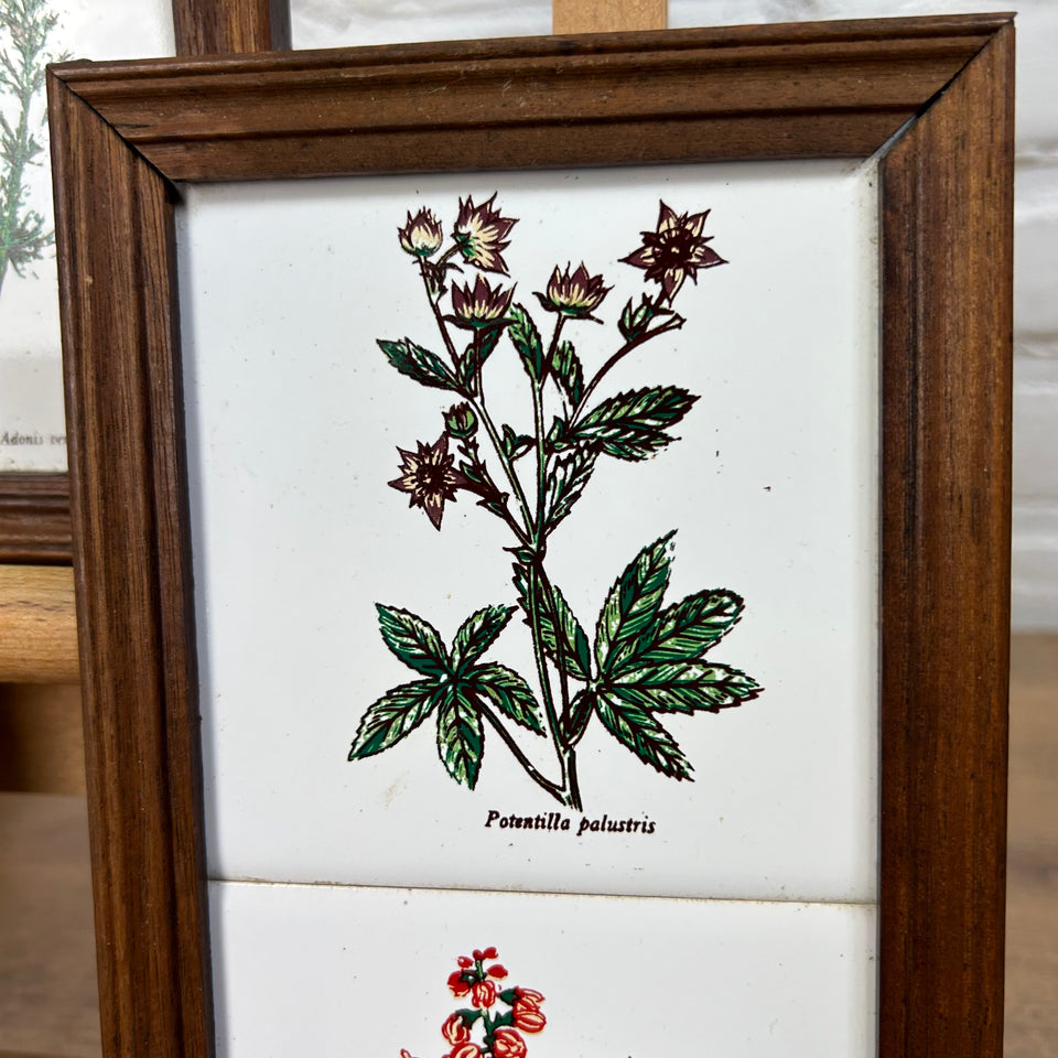 3 framed ceramic tiles with herbs