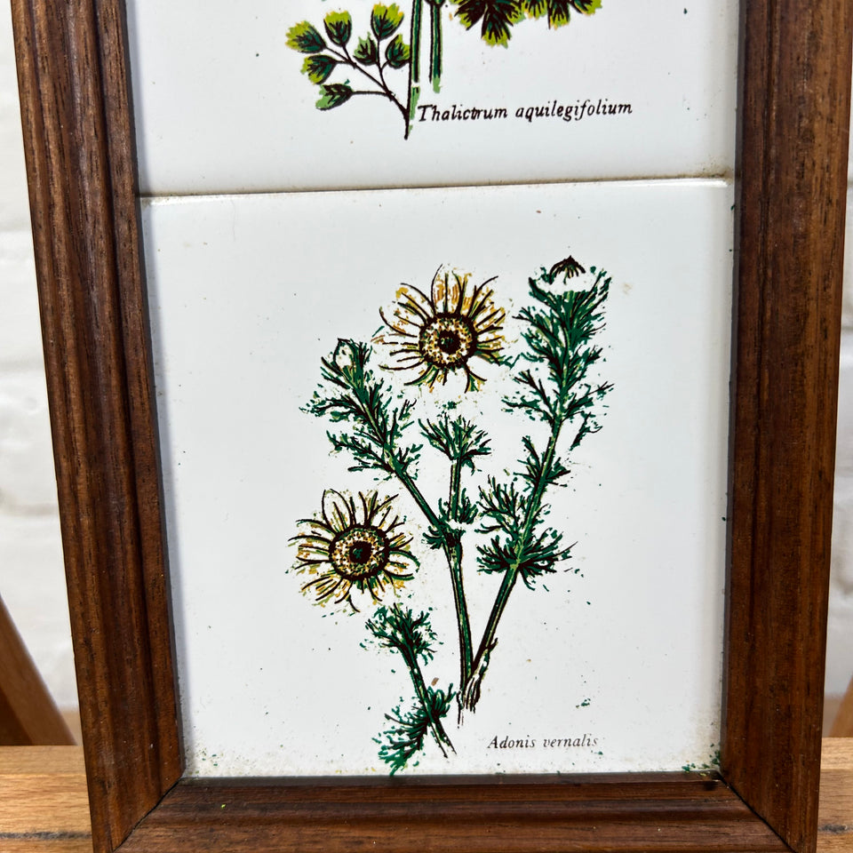 3 framed ceramic tiles with herbs