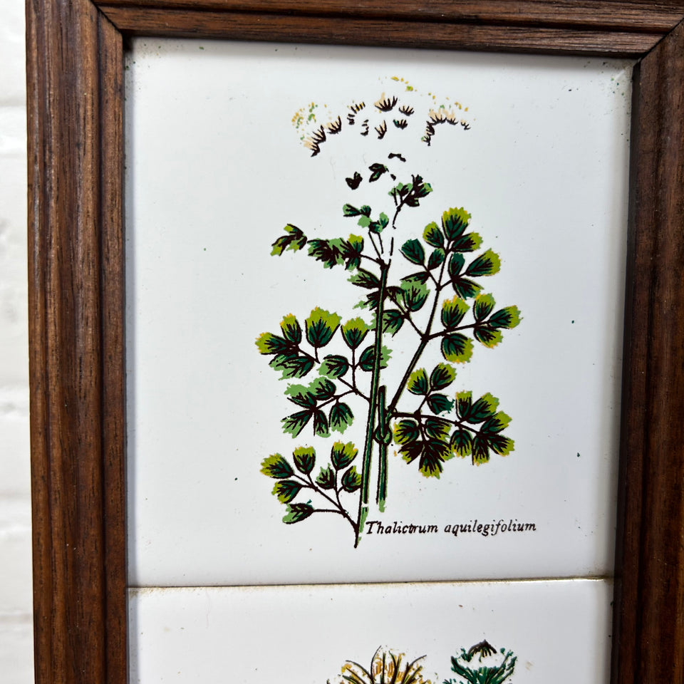 3 framed ceramic tiles with herbs