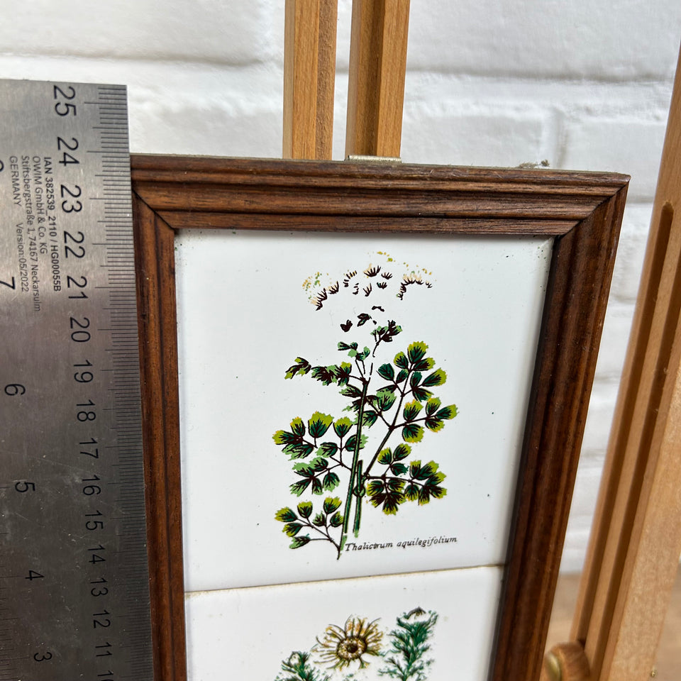 3 framed ceramic tiles with herbs