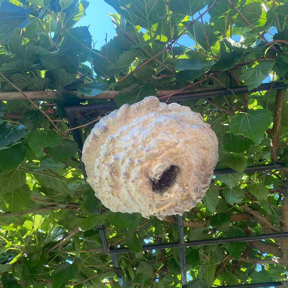 WespenFopper - Fake wasp nest - Keep wasp and bee's out of your garden