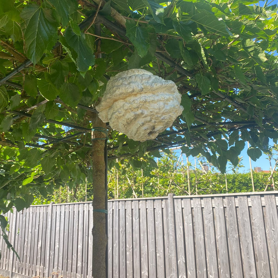 WespenFopper - Fake wasp nest - Keep wasp and bee's out of your garden