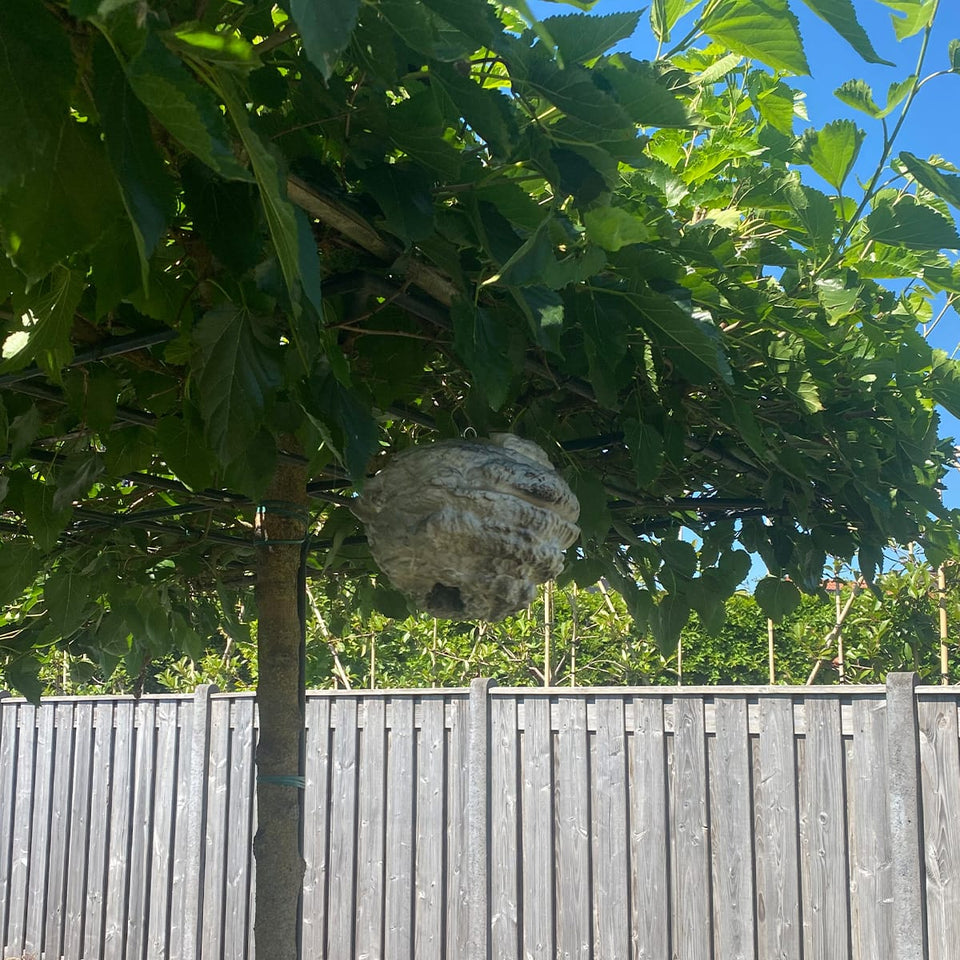 WespenFopper - Fake wasp nest - Keep wasp and bee's out of your garden