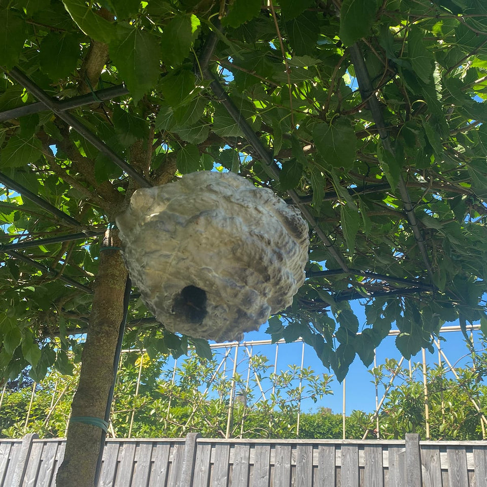 WespenFopper - Fake wasp nest - Keep wasp and bee's out of your garden