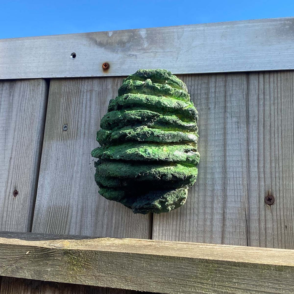 Fake wasp nest - Keep wasp and bee's out of your garden - With etheric oils!