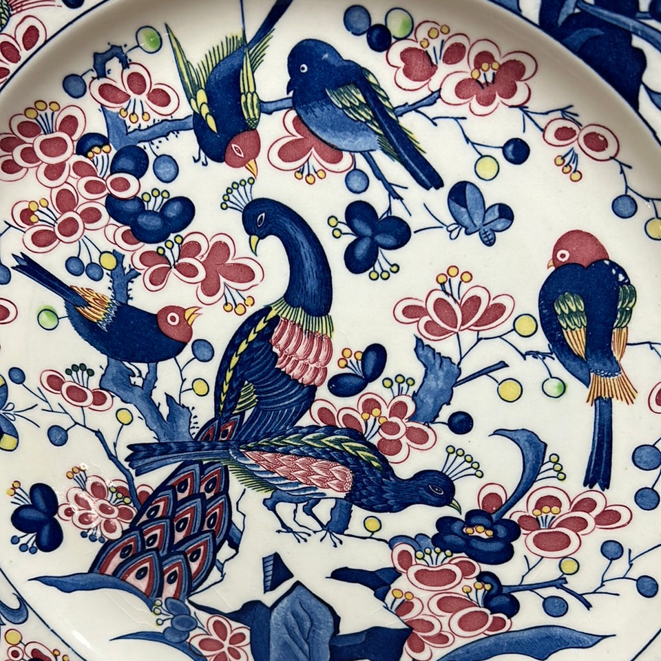 Large Peacock Porcelain plate