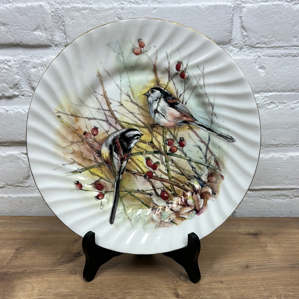 St. Andrews Scotland - Birds plate