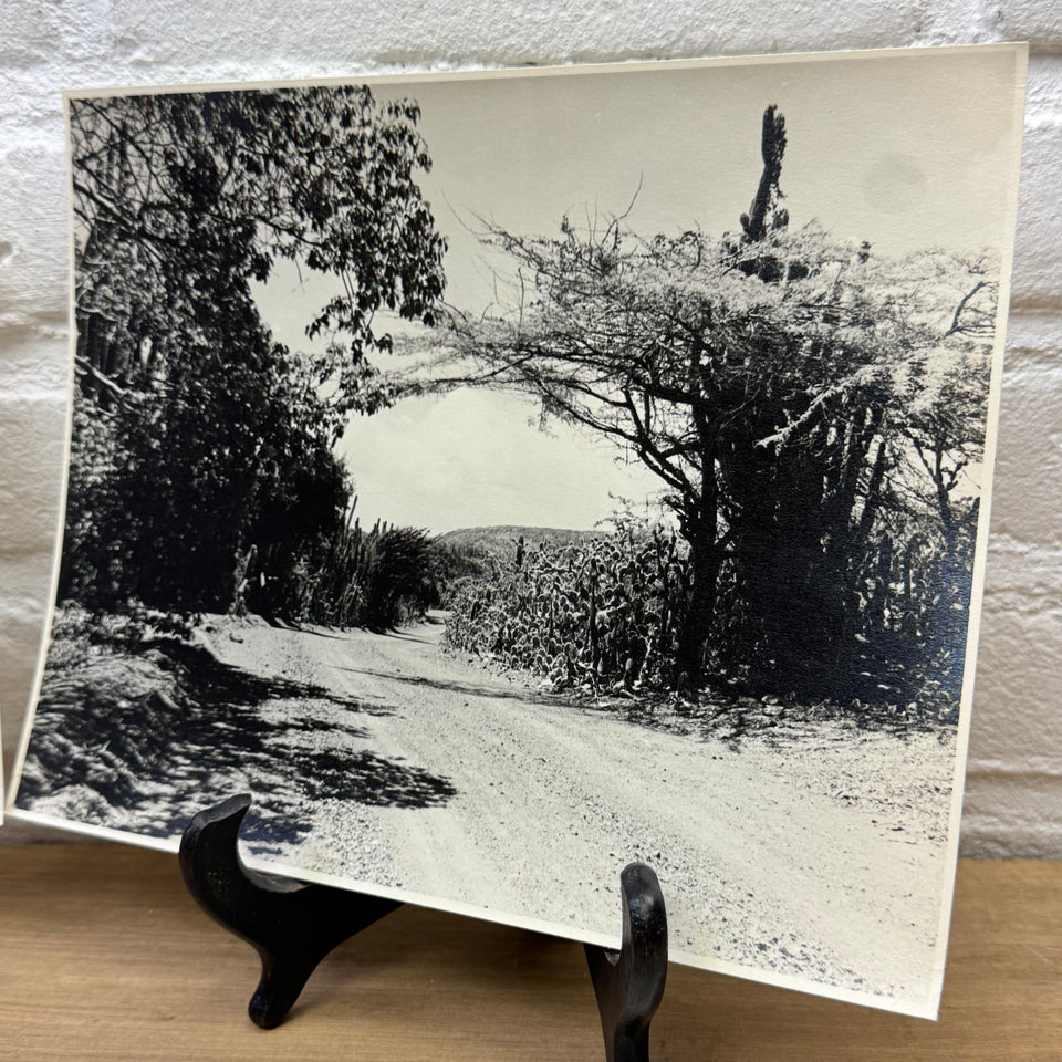 Vintage Curacao Photo serie - Black White – Curaçao (1960s–1970s)