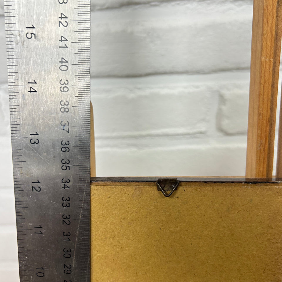 Two Handpainted Asian floral & bird paintings behind frame