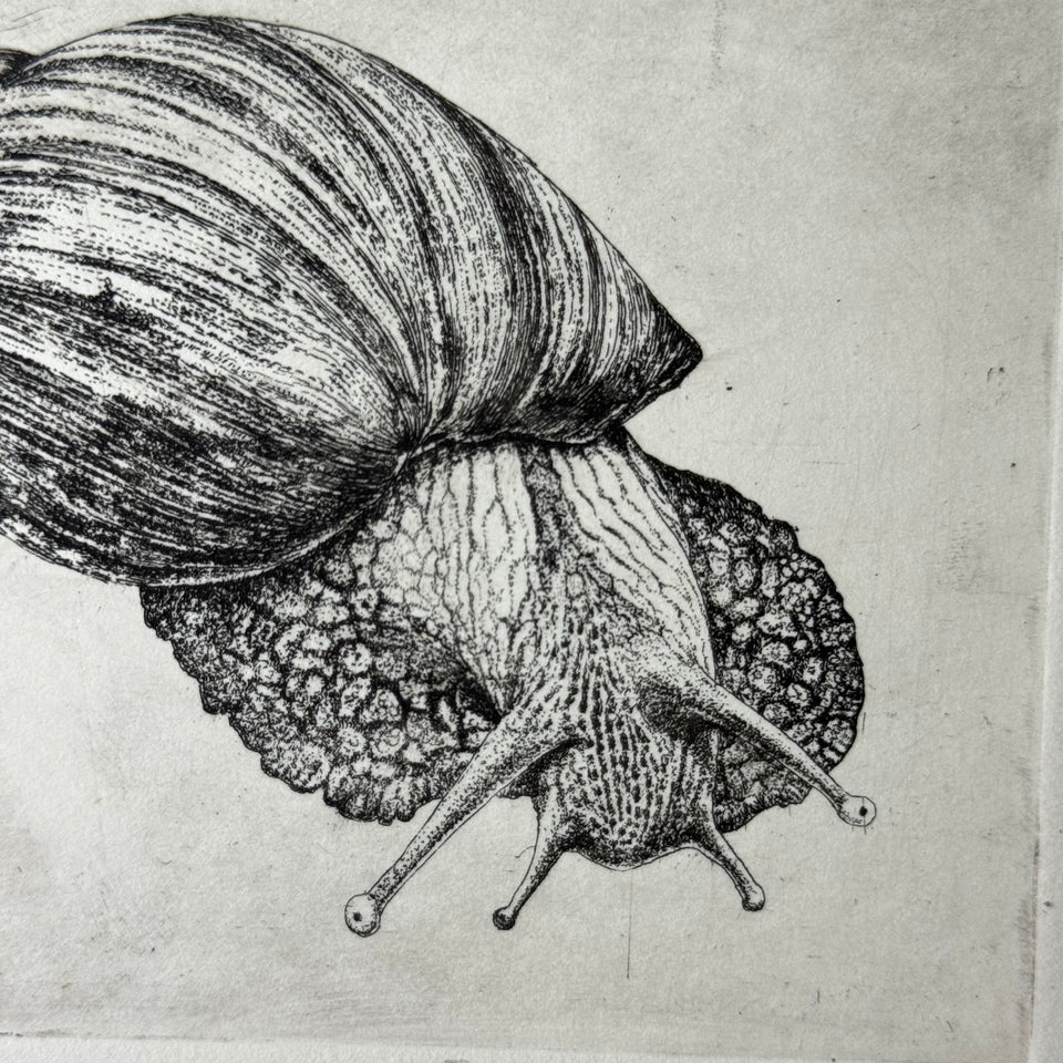 Snale Etching - Lente Sed Attente by Ton Kwinkelenberg 1983