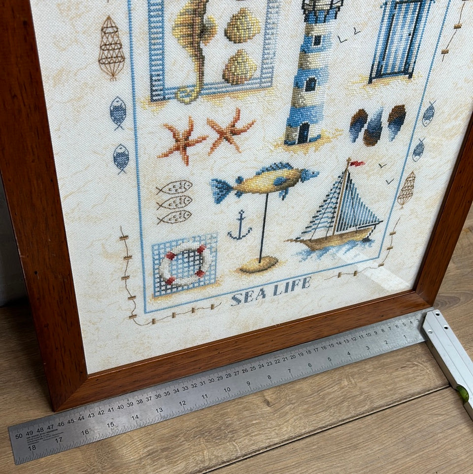 Sea Life - Embroidery - Cottonwork - Antique Sampler - Framed behind glass