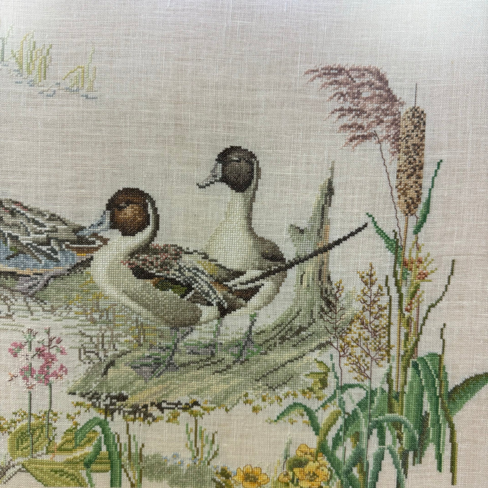 Group of Ducks in the river Embroidery - Tapestry