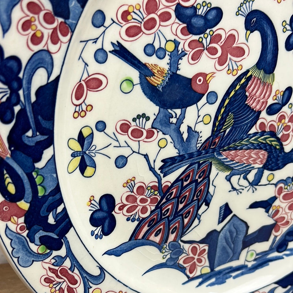 Large Peacock Porcelain plate