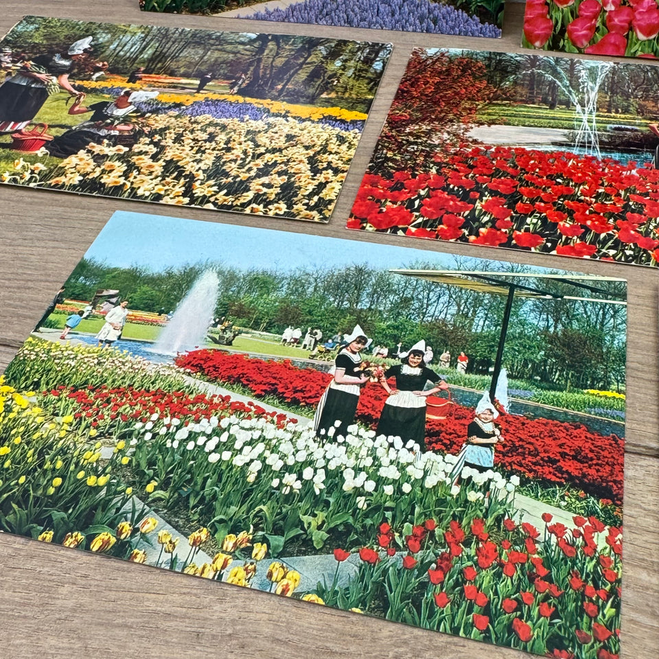 Vintage Keukenhof Flowers Holland postcards - Collection of Dutch Folklore Costume photo cards – Holland’s Traditional Culture Costumes