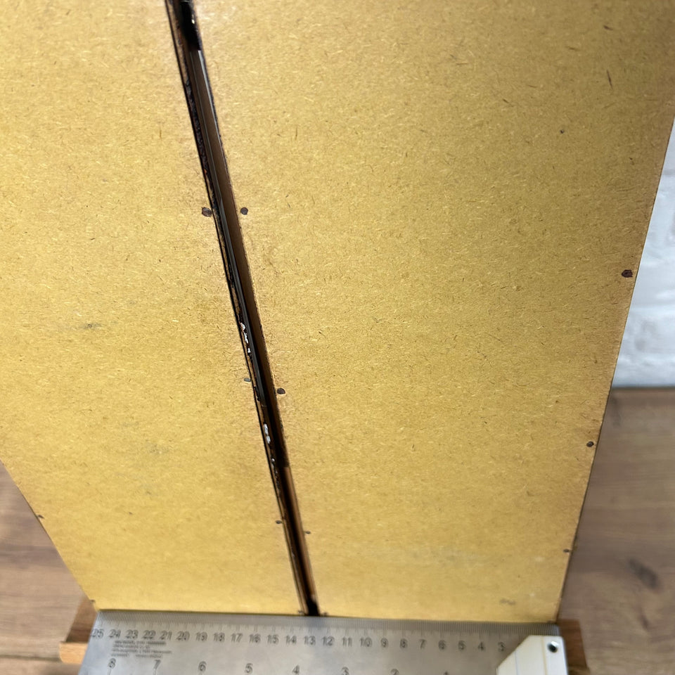 Two Handpainted Asian floral & bird paintings behind frame