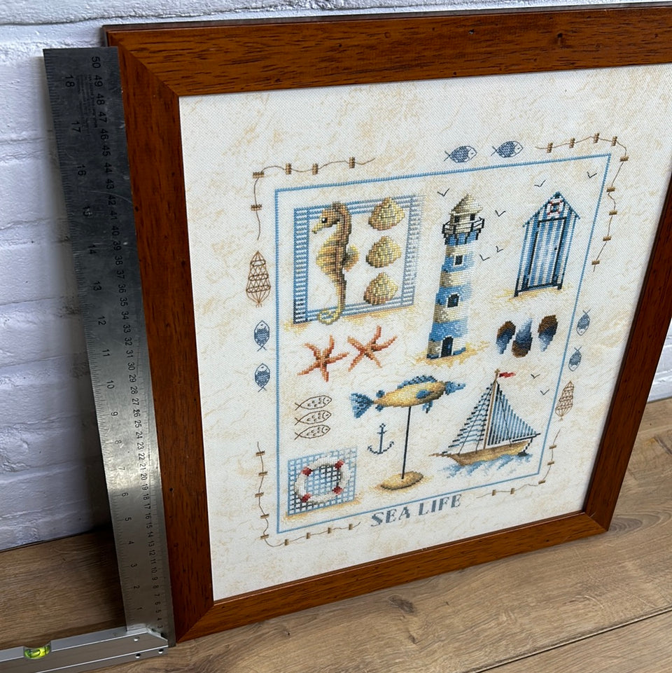 Sea Life - Embroidery - Cottonwork - Antique Sampler - Framed behind glass
