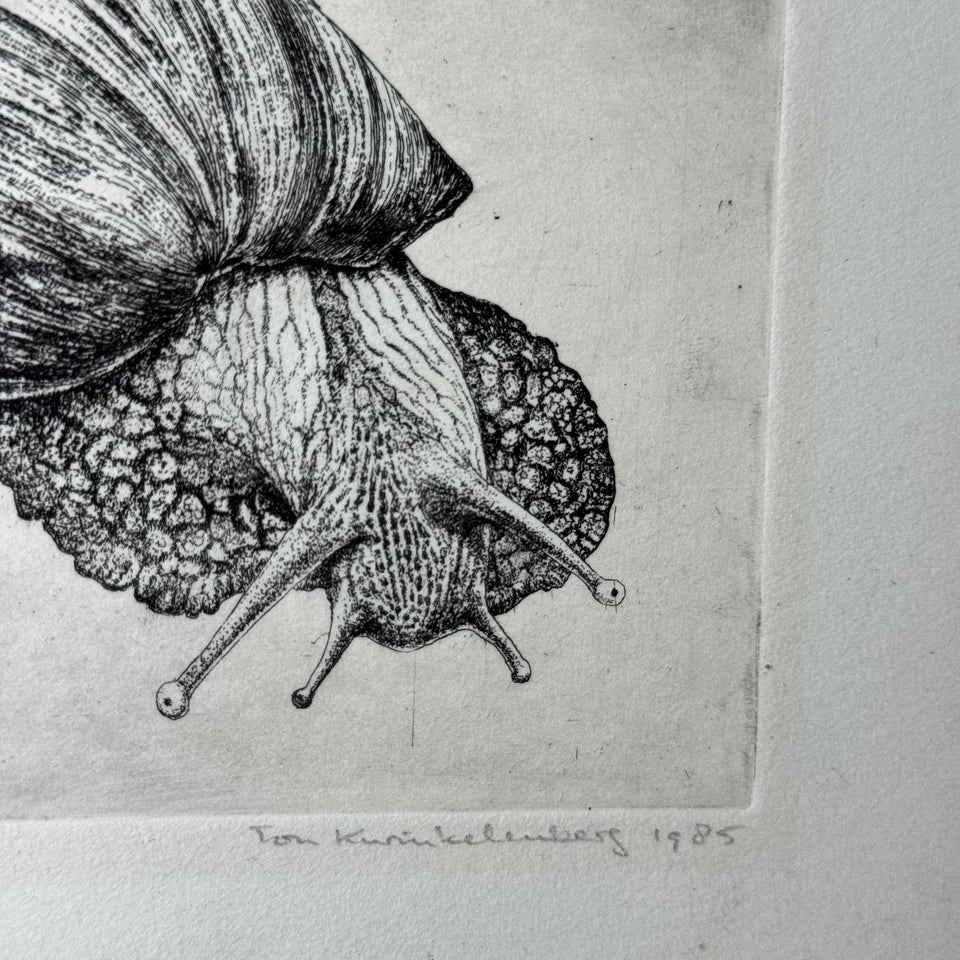 Snale Etching - Lente Sed Attente by Ton Kwinkelenberg 1983