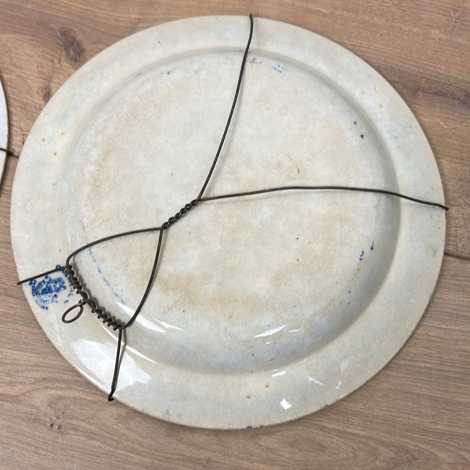 Two Vintage Plates Dutch Delfts Blue from Petrus Regout (Maastricht)