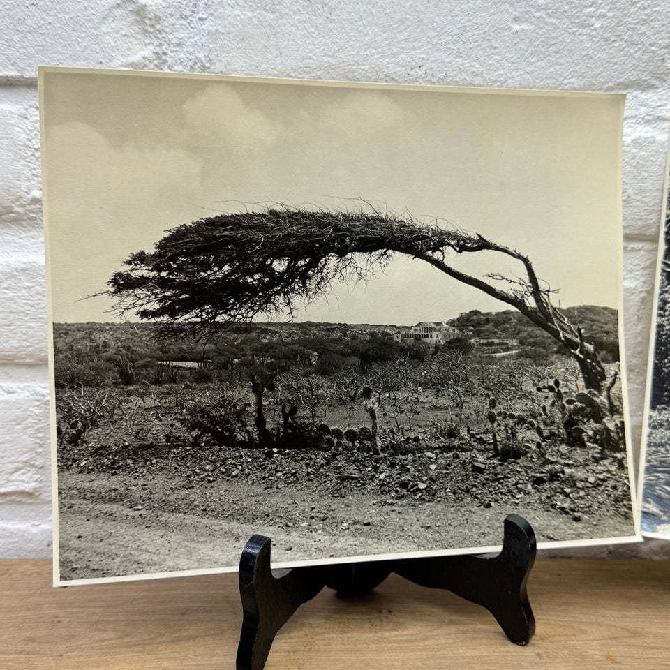 Vintage Curacao Photo serie - Black White – Curaçao (1960s–1970s)