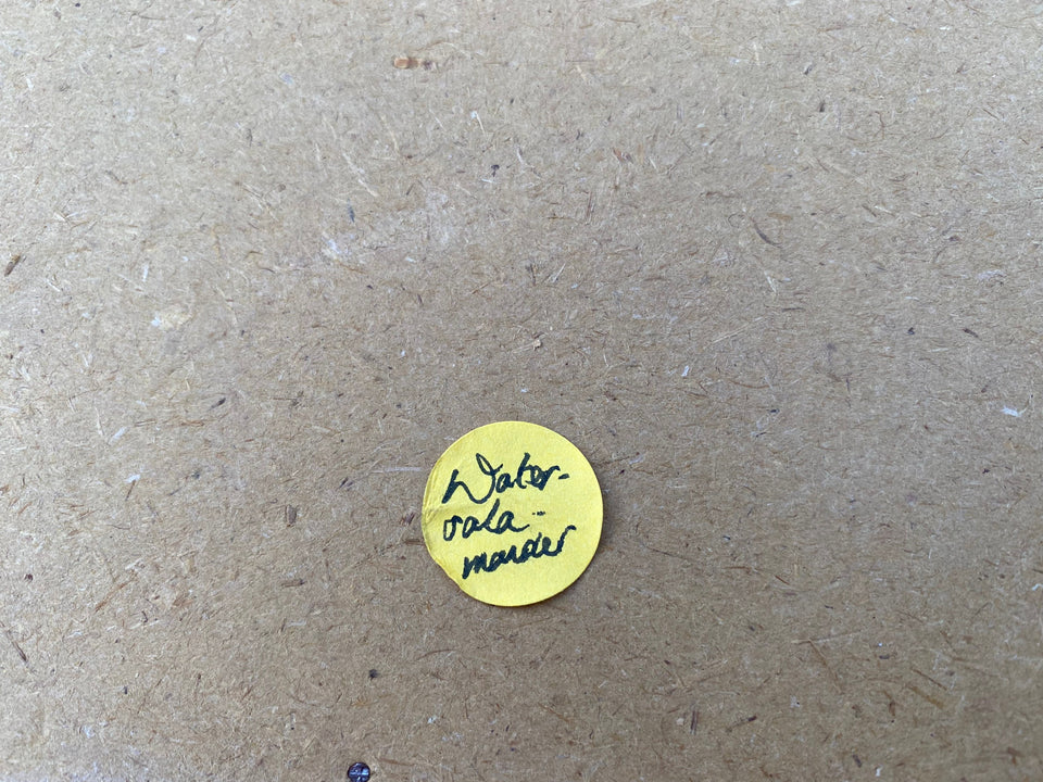 Prachtig Olieverfschilderij (1955) "De Watersalamander" eiland Curaçao | Caribisch eiland thuis | gesigneerd door kunstenaar | 50x40cm