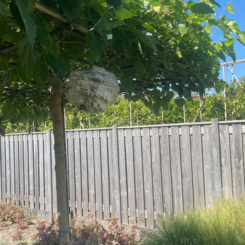 Fake wasp nest - Keep wasp and bee's out of your garden - With etheric oils!